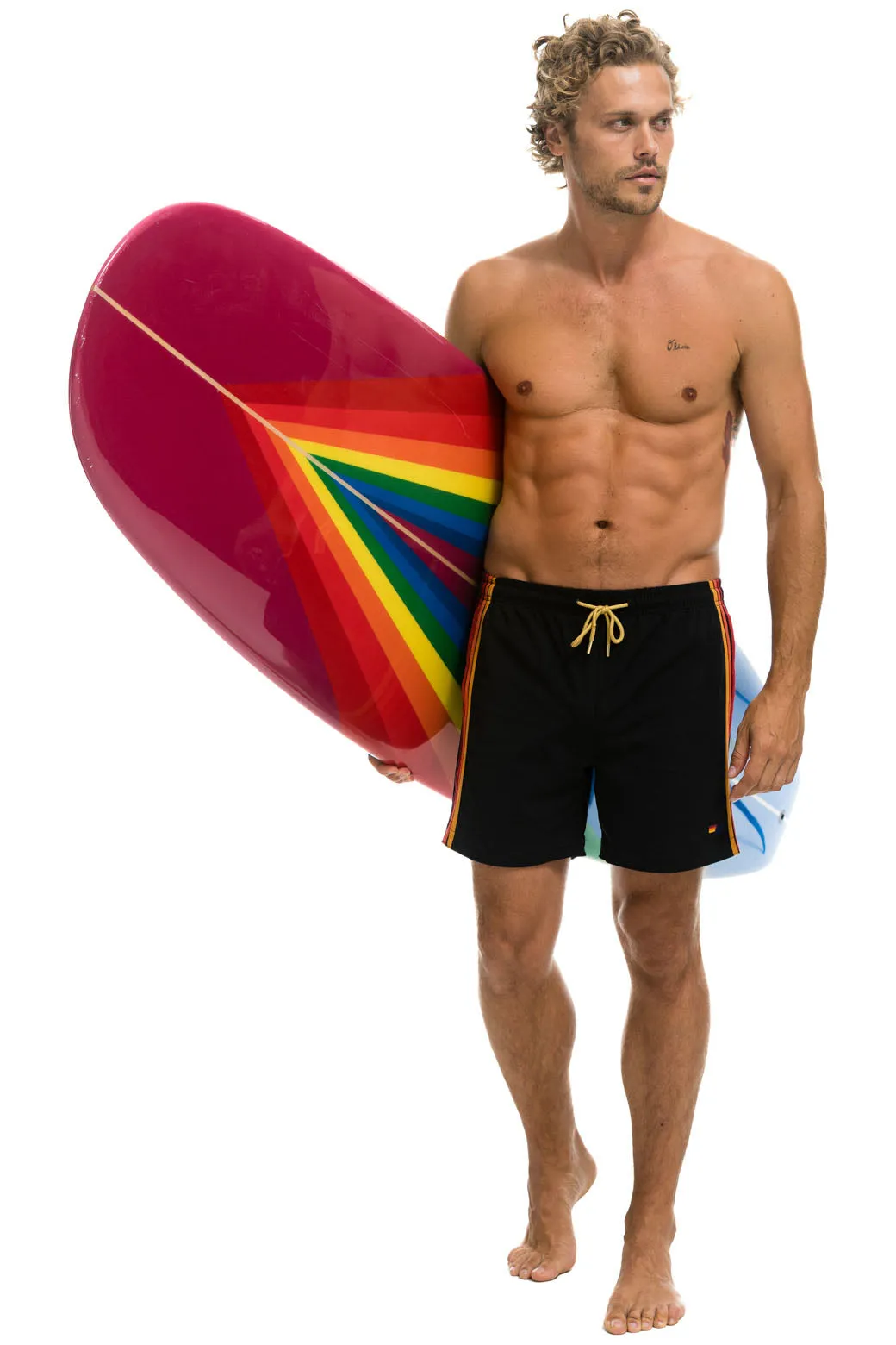 AVIATOR NATION HYBRID BOARD - RAINBOW