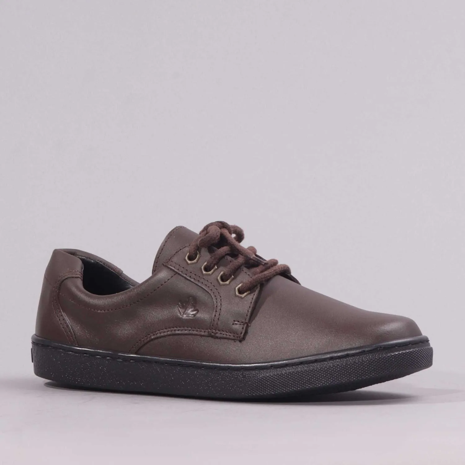 Boys Lace-up School Shoe in Brown - 11422