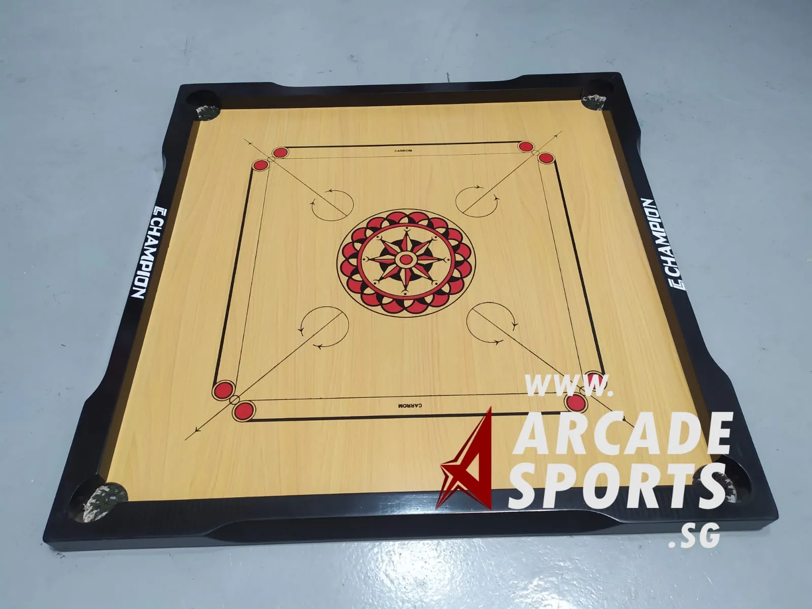 Carrom Board - Tour Trainer  