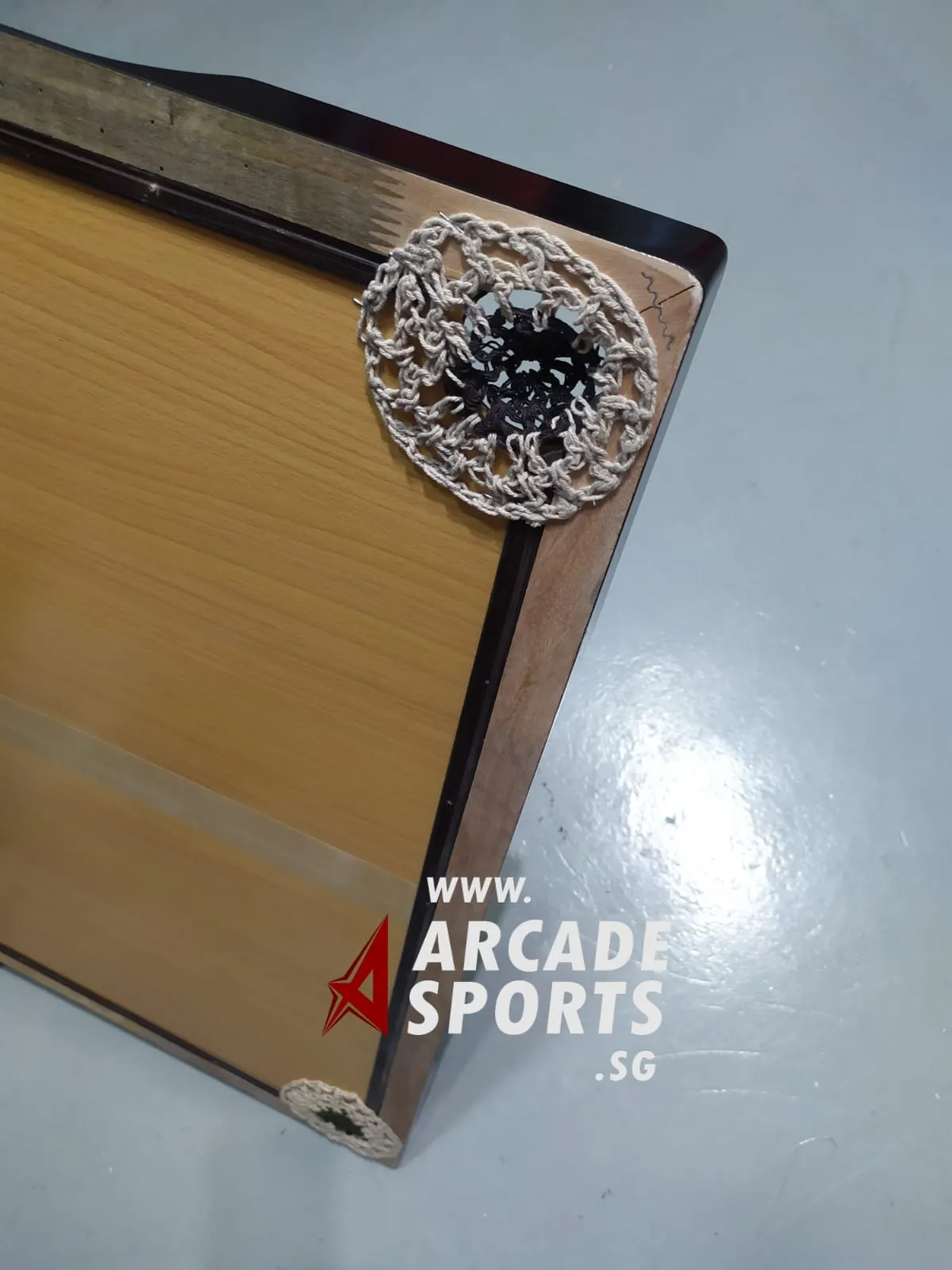 Carrom Board - Tour Trainer  