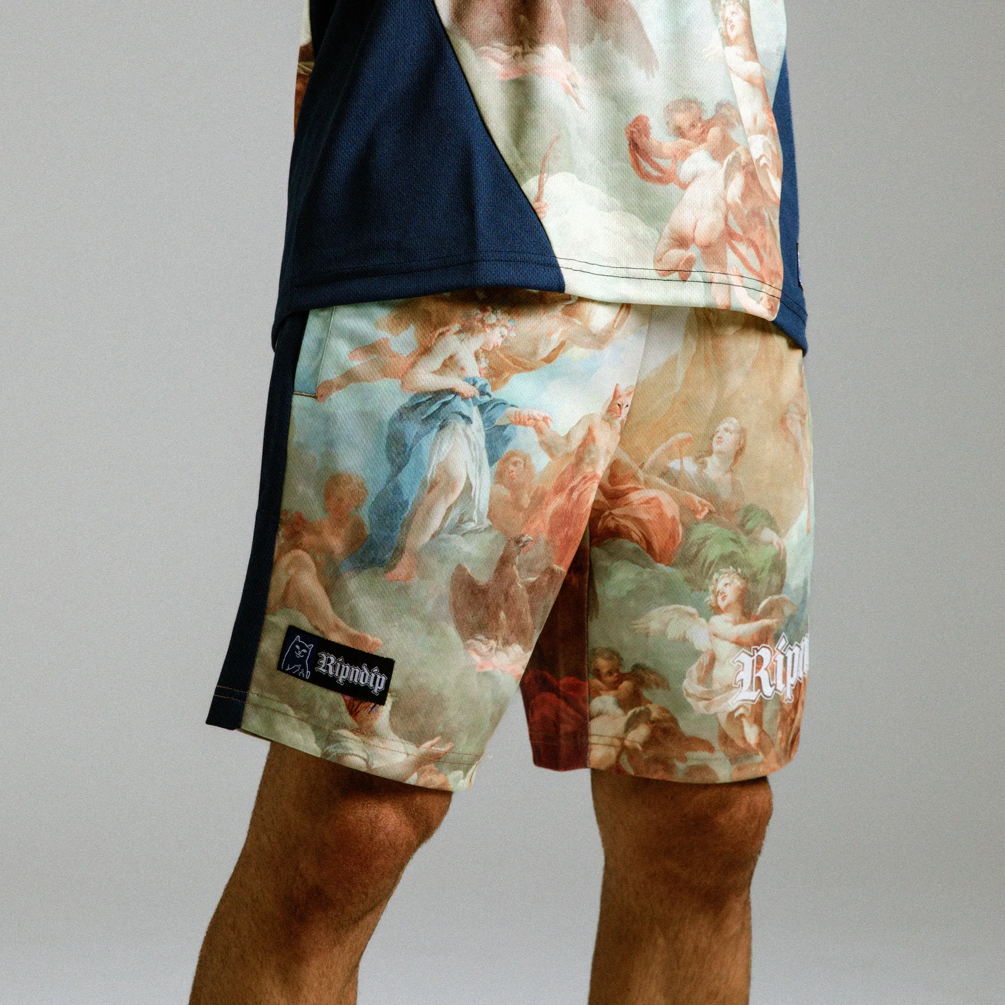 Heavens Waiting Soccer Shorts (Navy Multi)