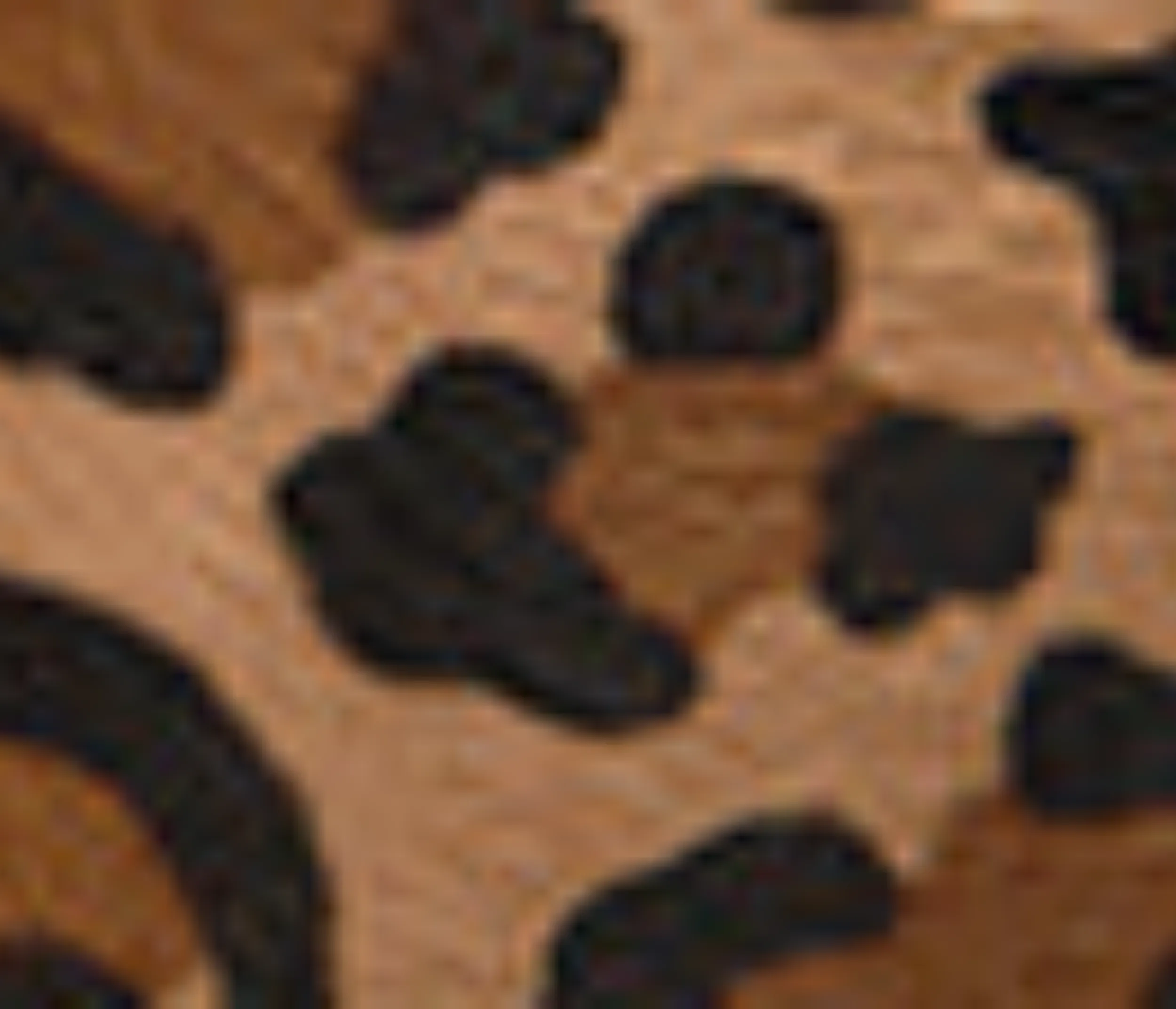 Leather Color Leather Goods